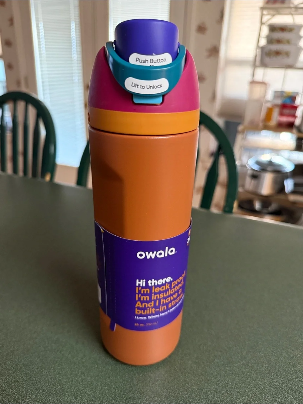 Insulated Water Bottle in Rust with Pink Lid - Picture 2 of 3